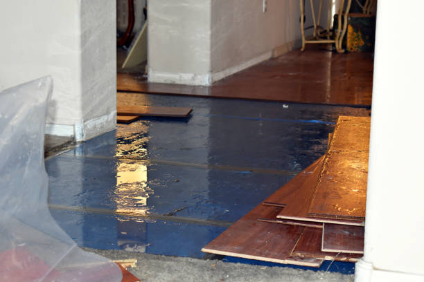 Professional Flood Cleanup technician working in Greenlawn, NY